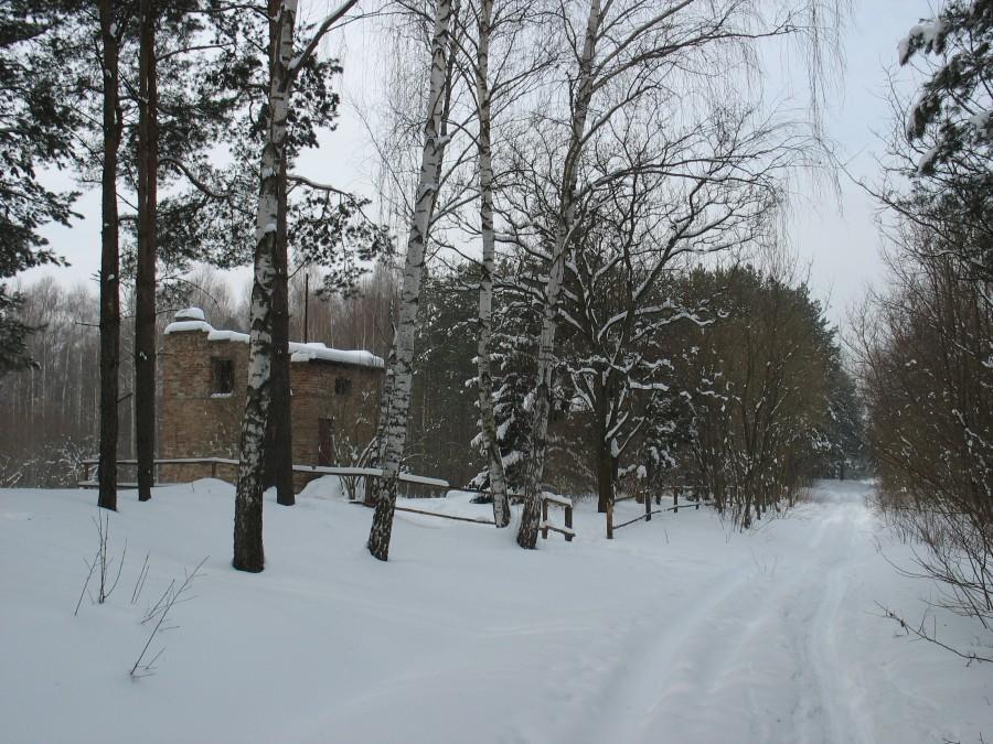 Wyględy Górne