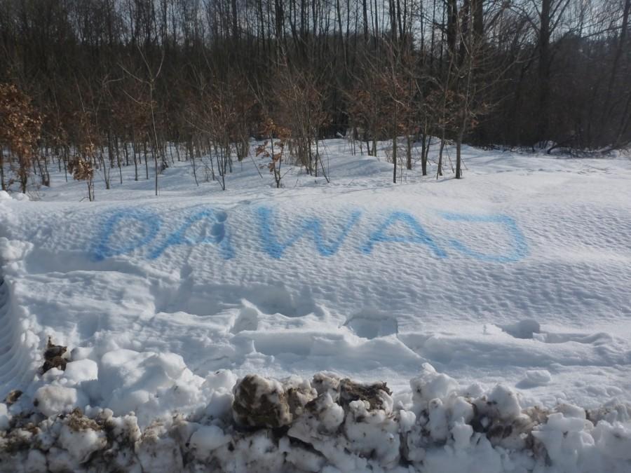 dawaj, dawaj !!!