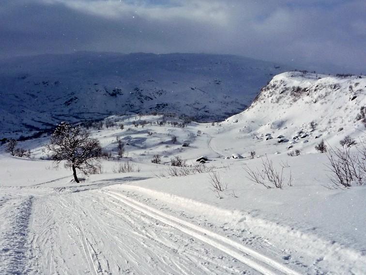 Haukeligfjellet
