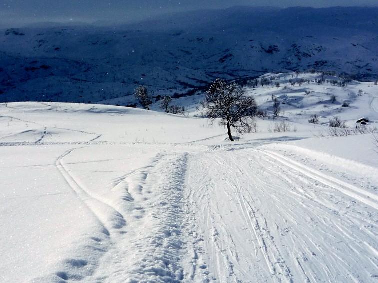 Haukeligfjellet