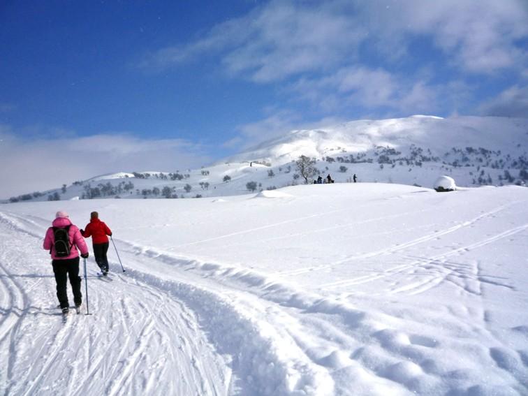 Haukeligfjellet