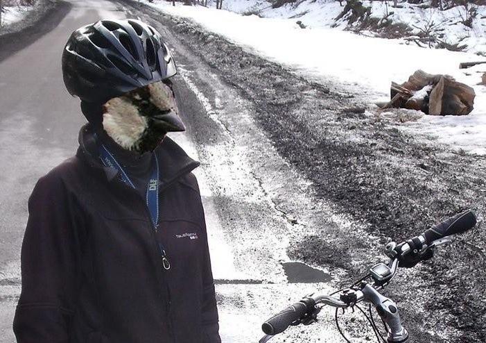 passer bicyclus