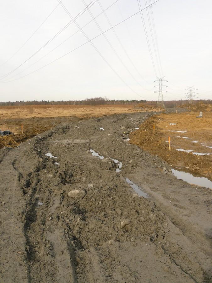 Dziś plac budowy skutecznie mnie zniechęcił...
