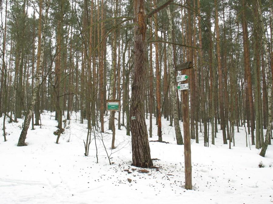 Ławska Góra