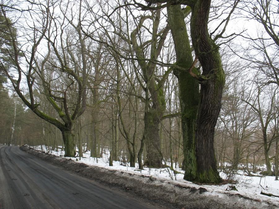 Rezerwat Nart