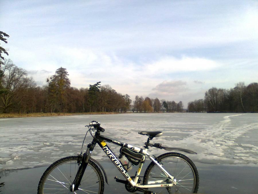 Świerklaniec Park