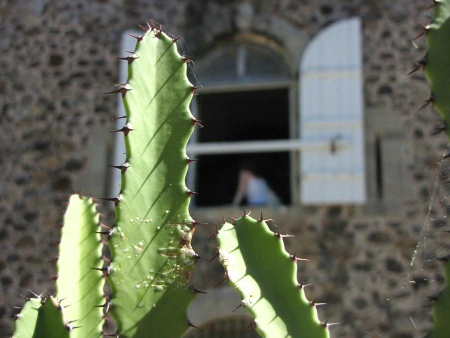 Fort Napoléon des Saintes