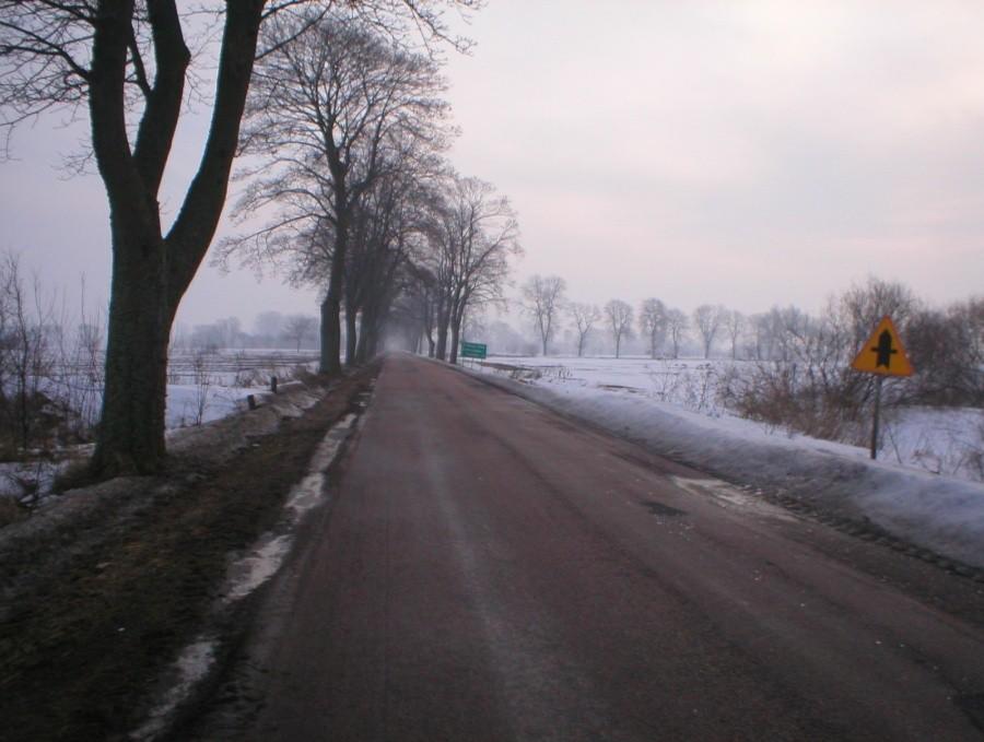 GOŁOLEDŹ