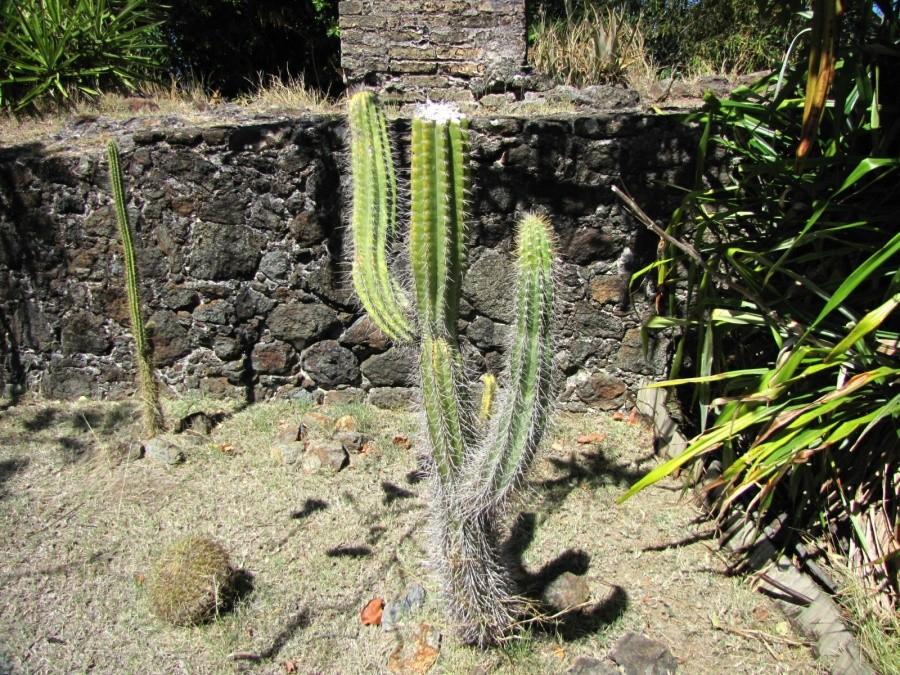 Fort Napoléon des Saintes