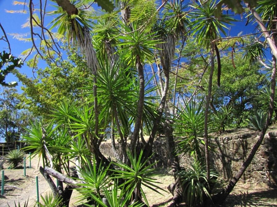Fort Napoléon des Saintes