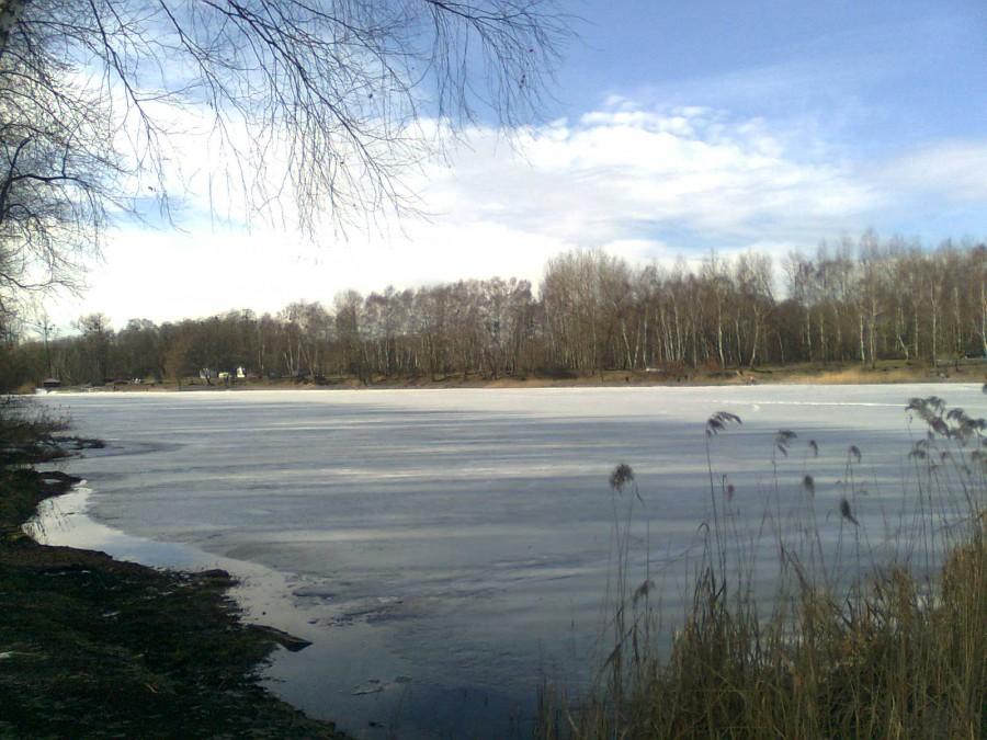 Rogoźnik II