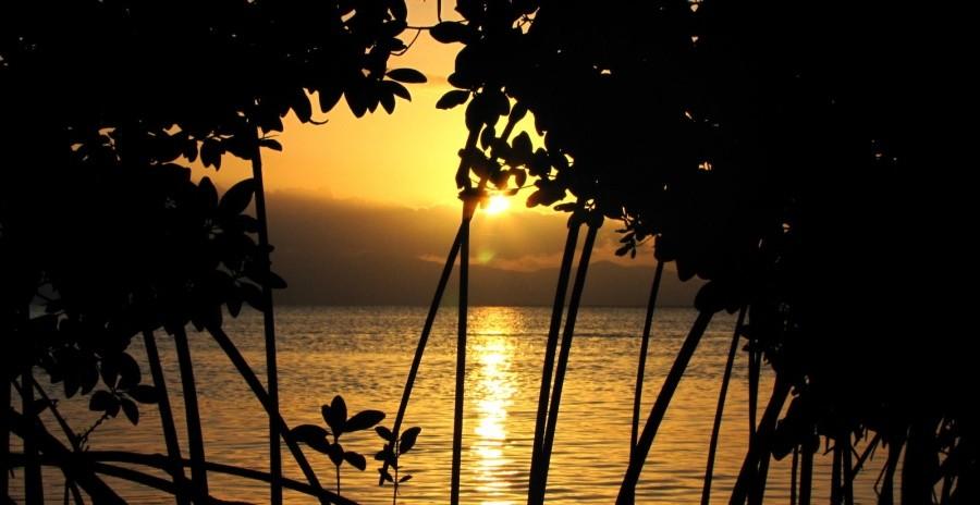 Namorzyny - Guadeloupe, Petit Canal