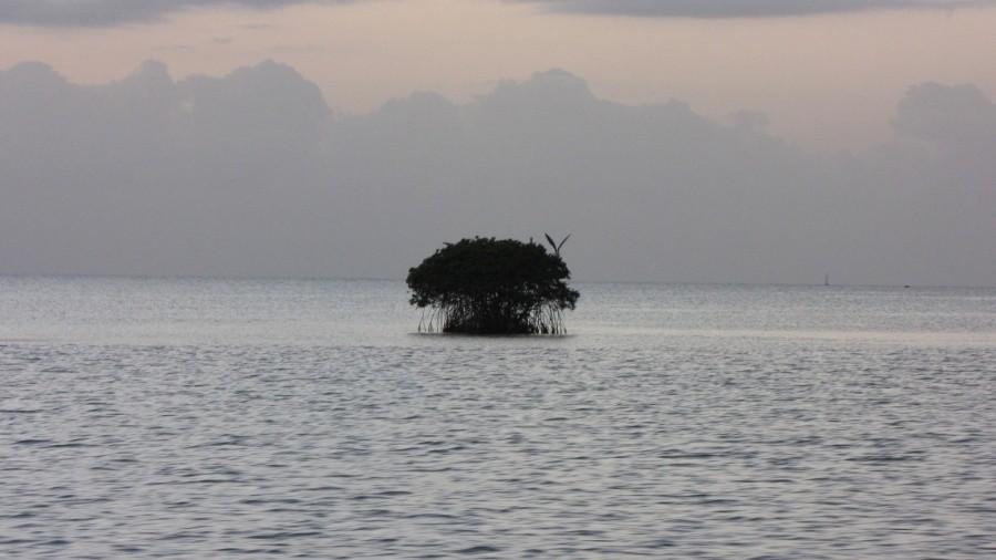 Namorzyny, Petit Canal, Guadeloupe