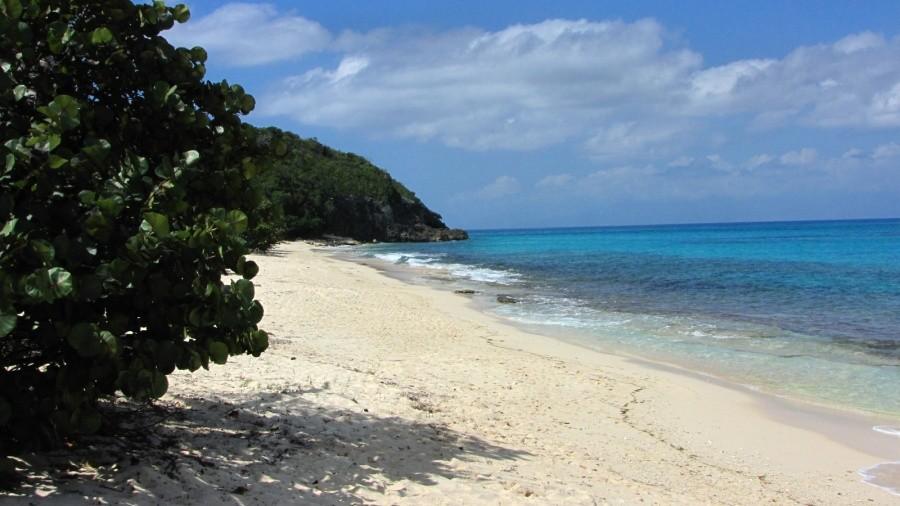 Plaża Anse Canot na Marie Galante, Gwadelupa
