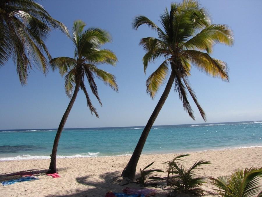 Plaża de la Feuillere, Capesterre, Marie Galante