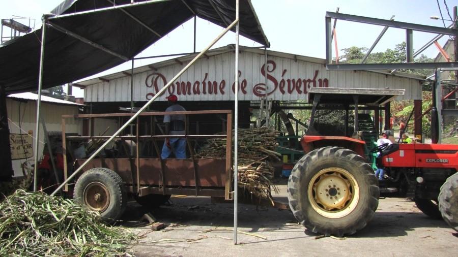 Destylernia Le Domaine de Séverin na Basse-Terre