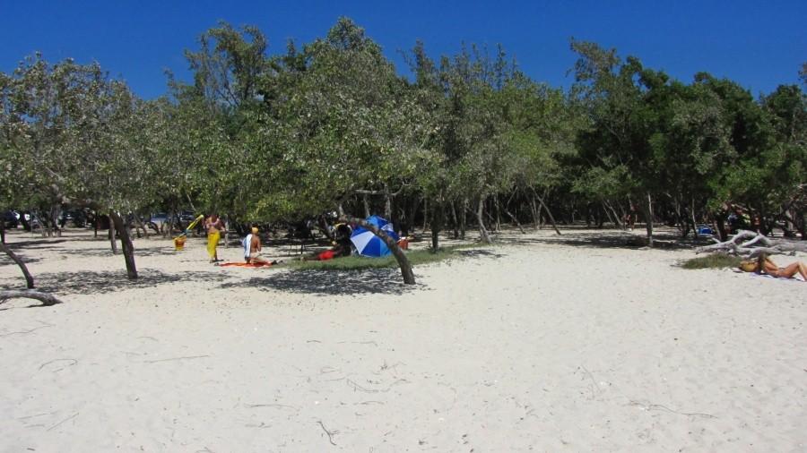 Plage de Saint-Félix, Grande-Terre, Gwadelupa