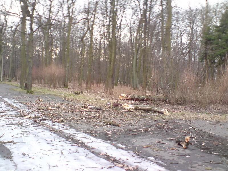 Park Zielona po ostatnich wichrach