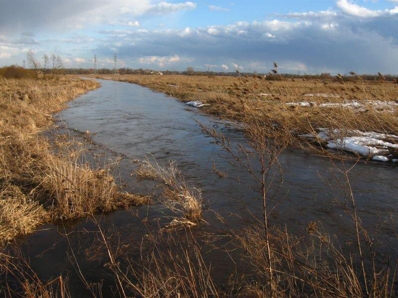 Ostatnio była tu mała rzeczka.