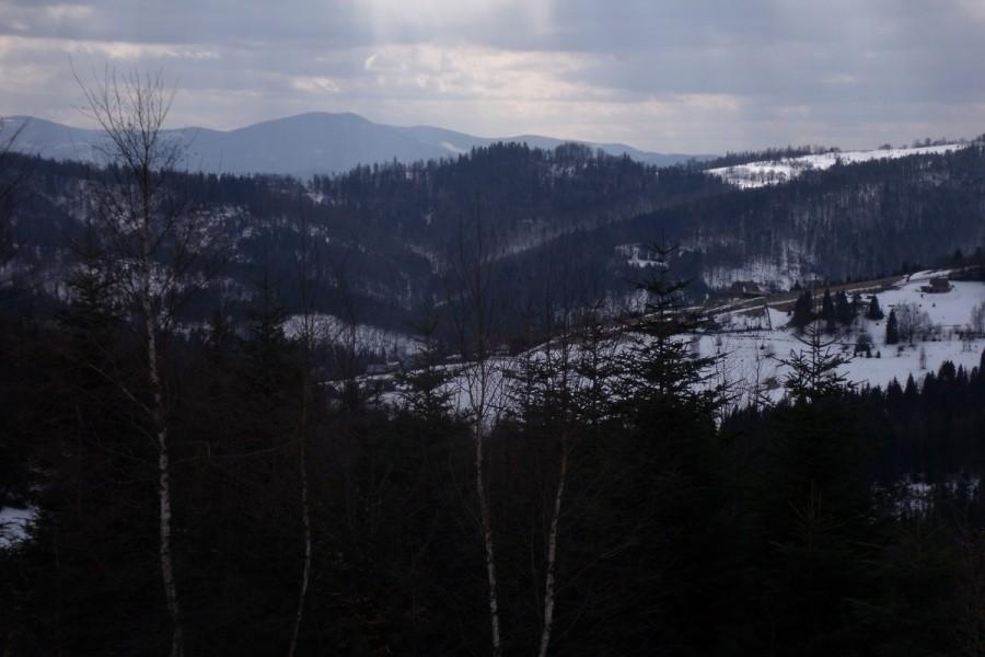 Widoczek