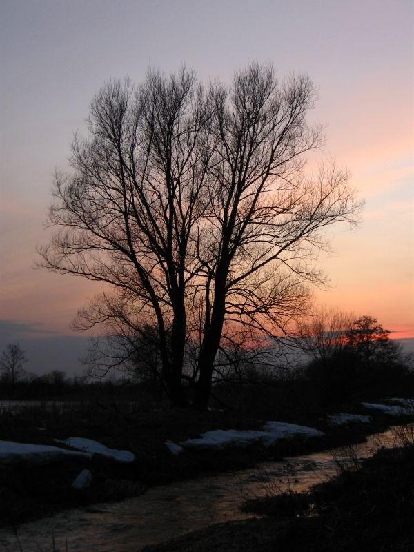 Nad oczkiem wodnym- Trzciana.