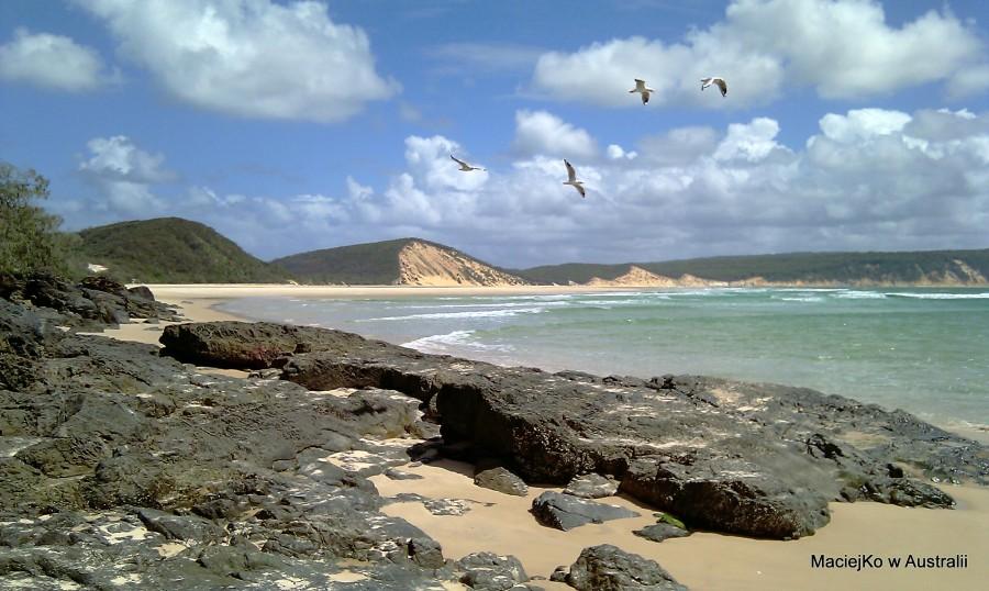 Plaża nad oceanem spokojnym [Rainbow Beach, QLD, Australia]