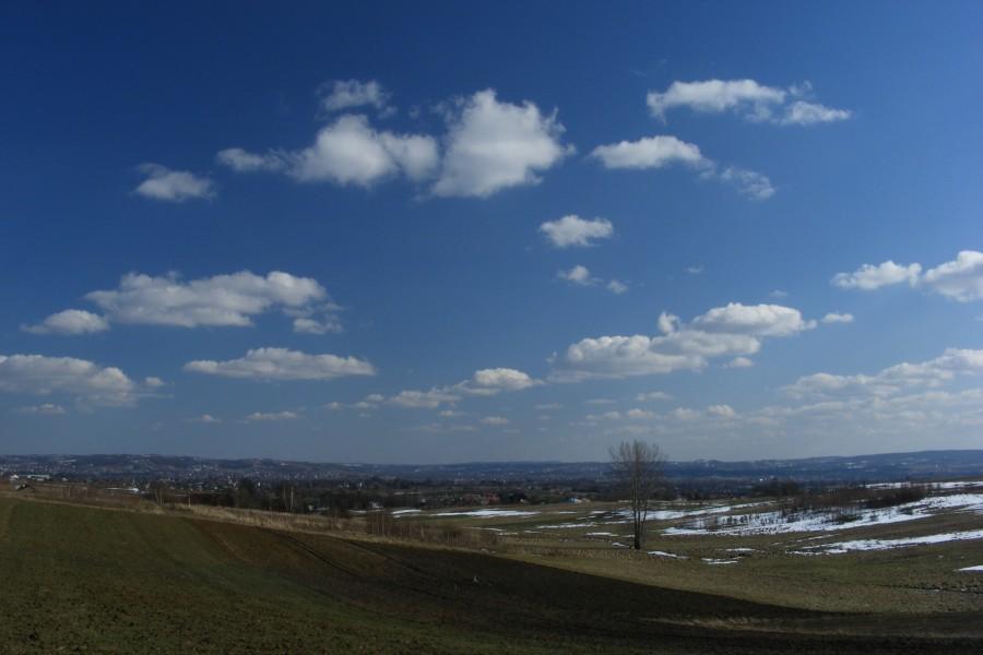 W Kielanówce