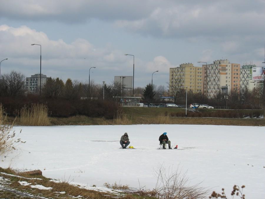 Jezioro Gocławskie