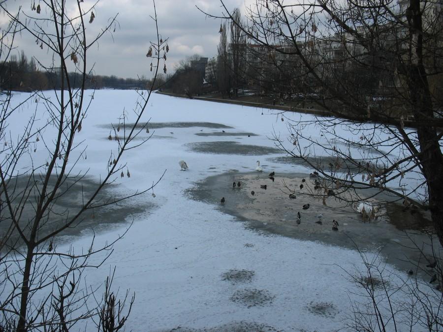 Jezioro Kamionkowskie