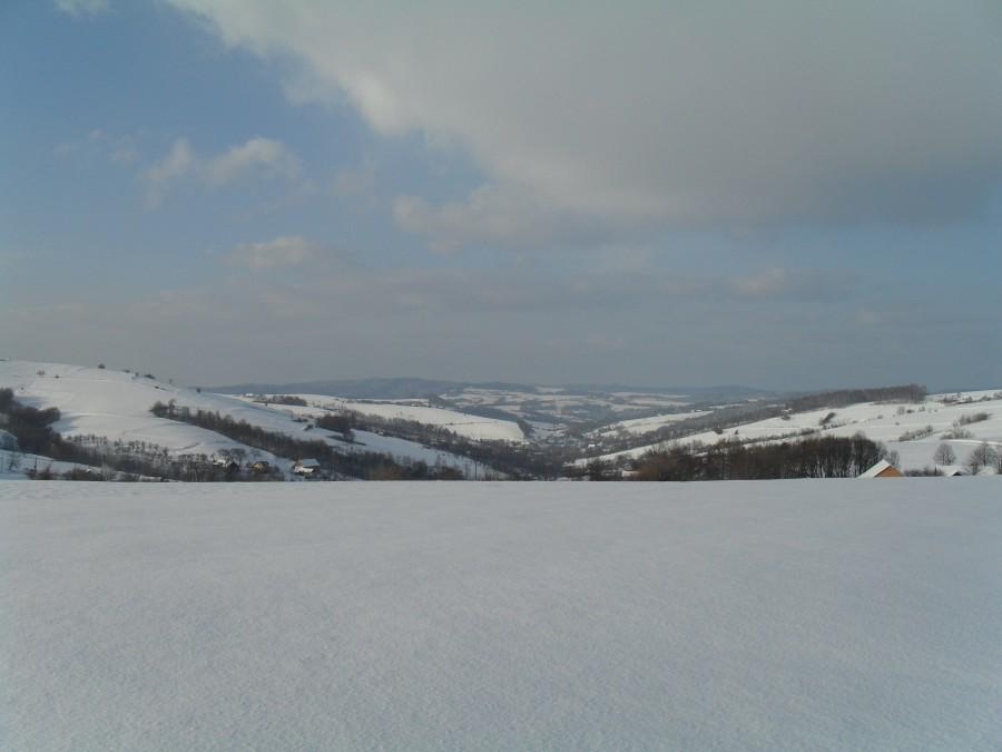 Widok na Przydonice
