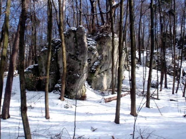 Jurajskie klimaty