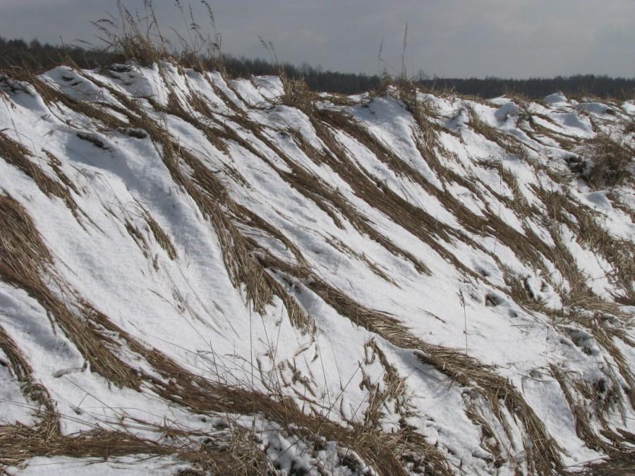 Malowane śniegiem
