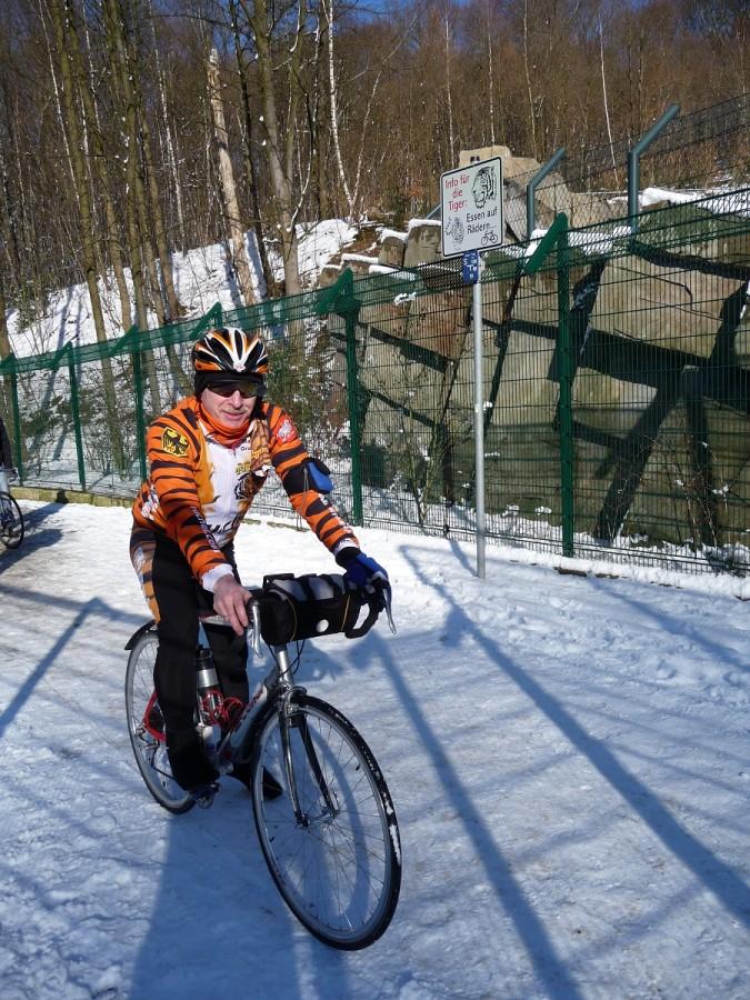 Uwaga dla tygrysów - jedzenie na rowerach (napis na szyldzie wybiegu tygrysów)