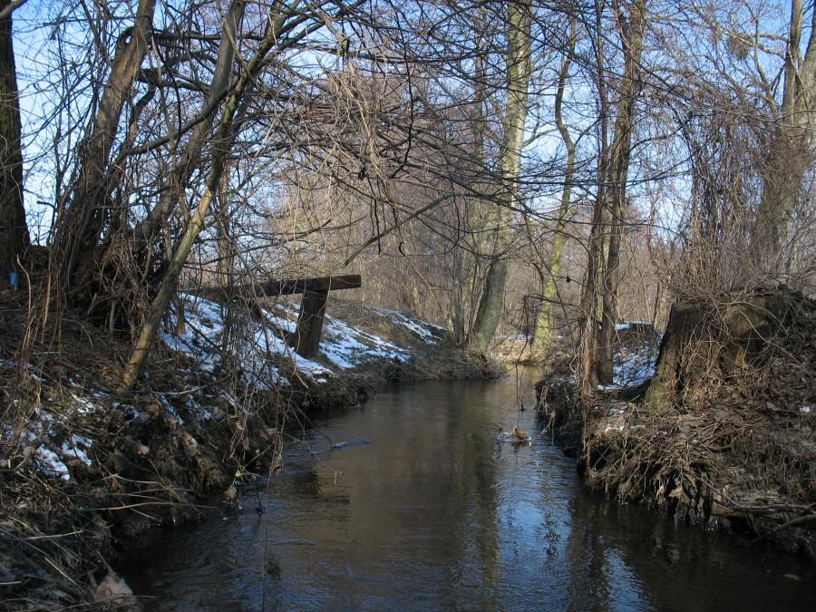 Rzeka Mrowna