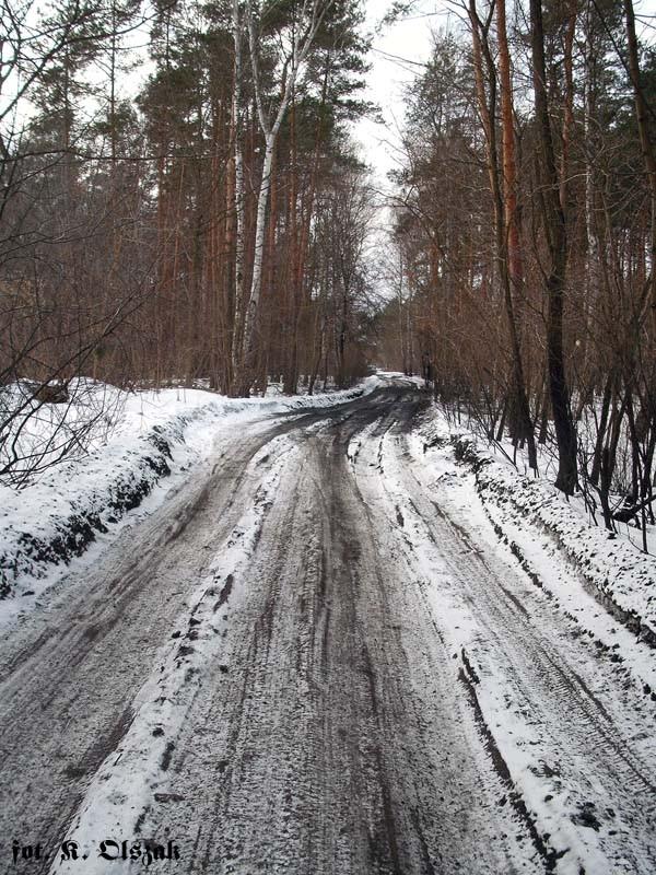 MPK jeszcze zimowy