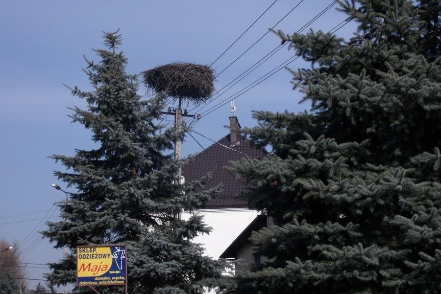 Boćków jeszcze nie ma