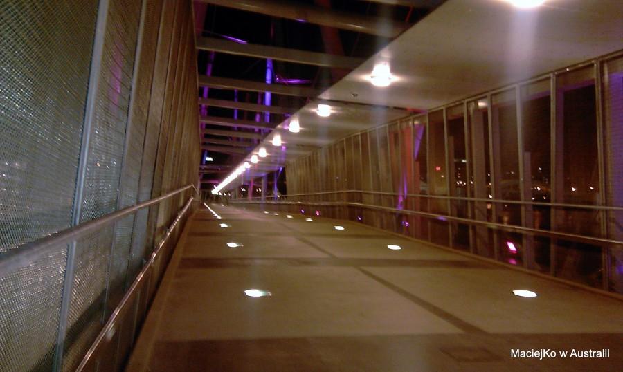 Kurilpa Bridge, Brisbane