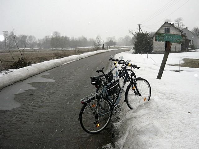 Janki Młode