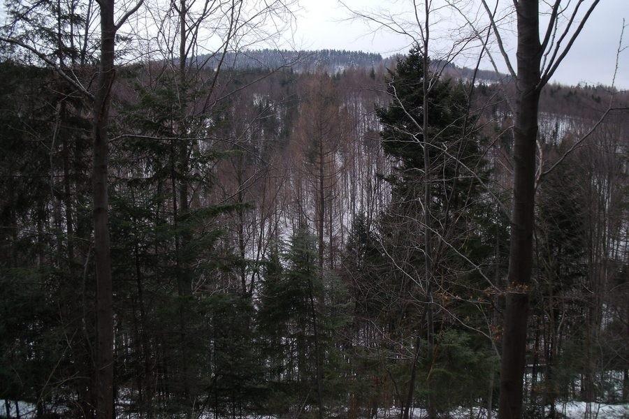 Widoczek