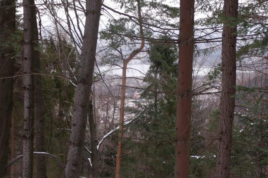 Widok na zaporę w Porąbce