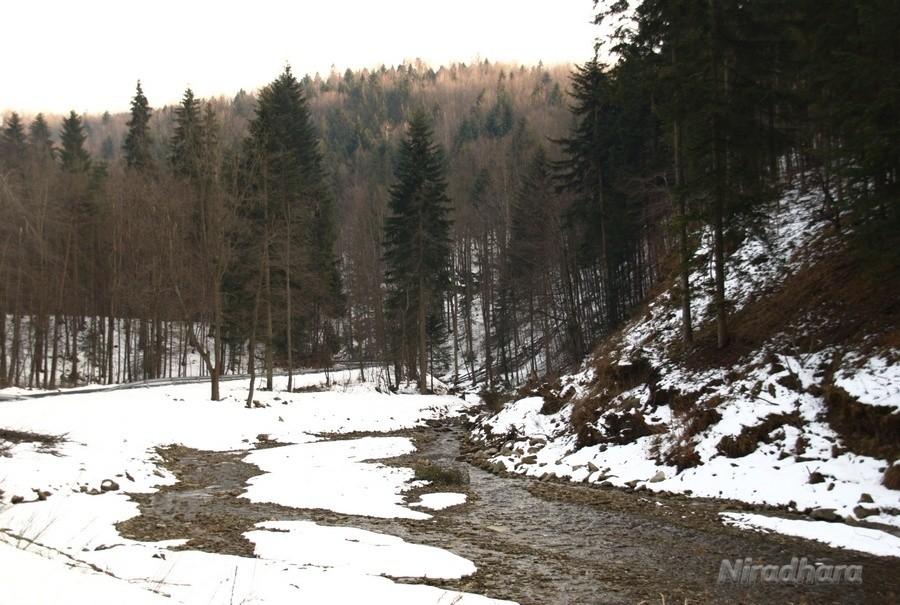 powyżej granicy śniegu