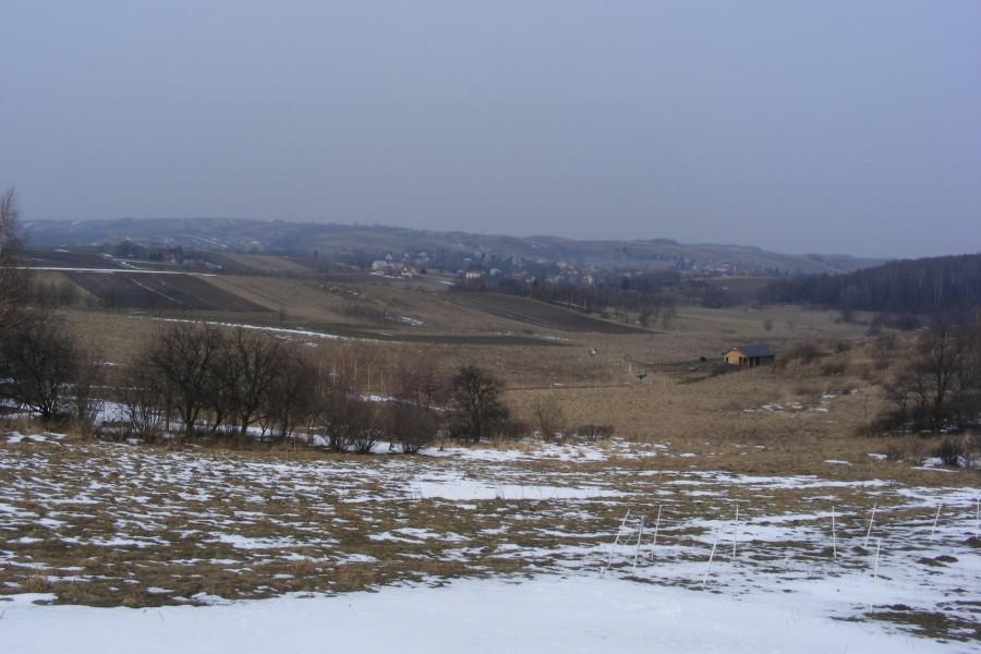 Widok w Kielanówce w stronę Przybyszówki