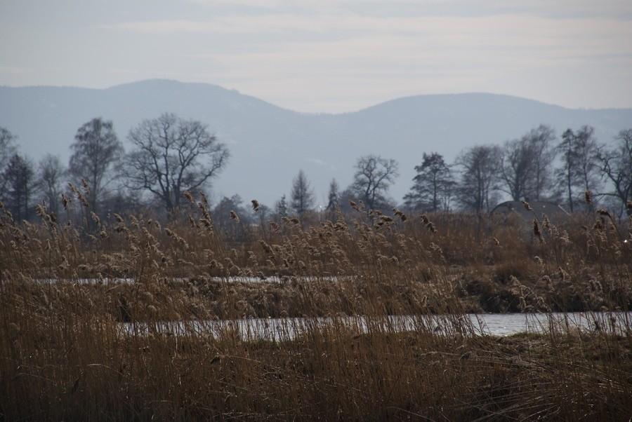 Widoczek na jeszcze ośnieżone góry