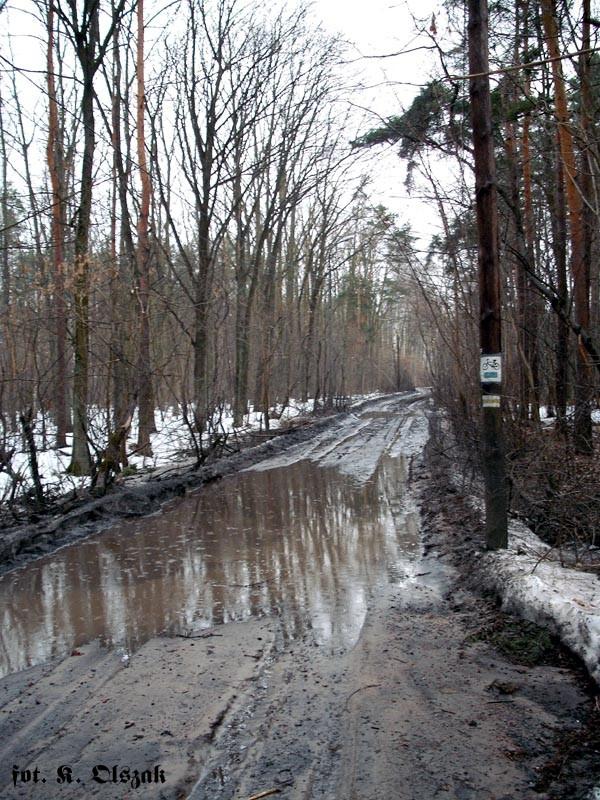 Trakt Napoleoński