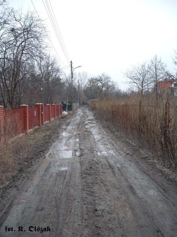 Ulica Zawilców