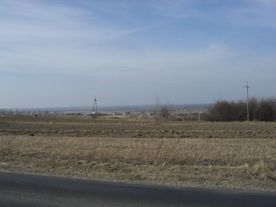 gdzieś w polu