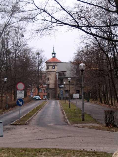 Szkoła w parku w Reptach Śląskich