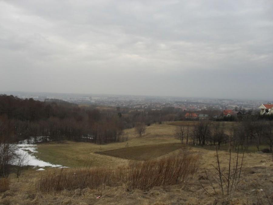 widoczek na miasto ze Słociny