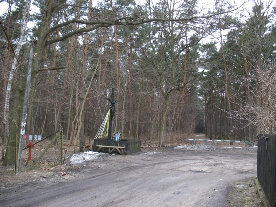 Czarnów - krzyż przydrożny