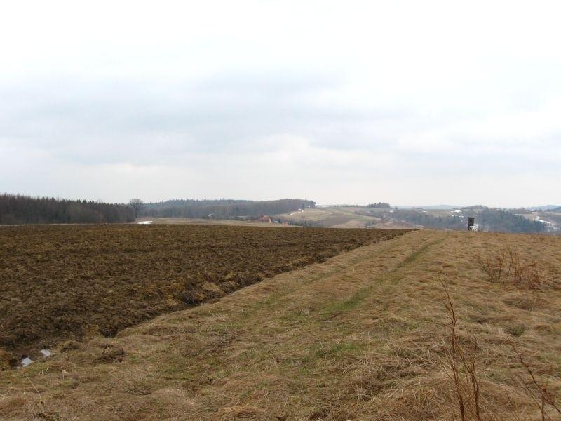 Pośród pól na wysokości 450 m.